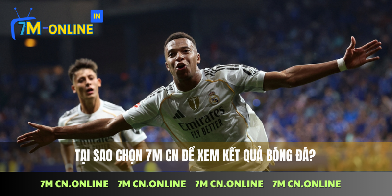 Kết quả bóng đá 1 Lý do nên chọn 7M CN để theo dõi kết quả bóng đá